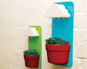 Rainypot-