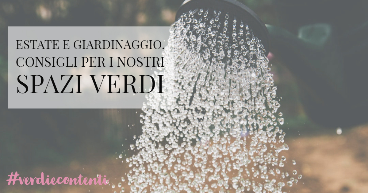 Estate e Giardinaggio. Consigli per le nostre piante e i nostri giardini