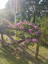 Un giardino segreto a Orte