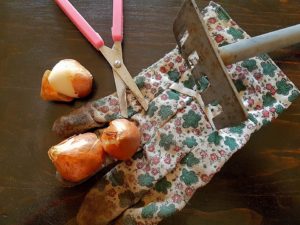 Lavori di giardinaggio sul balcone tra ottobre e novembre!