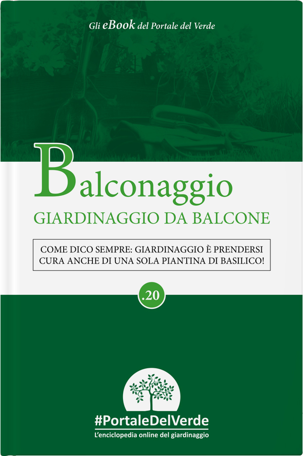 Balconaggio, il mio e-book con e per il Portale del Verde