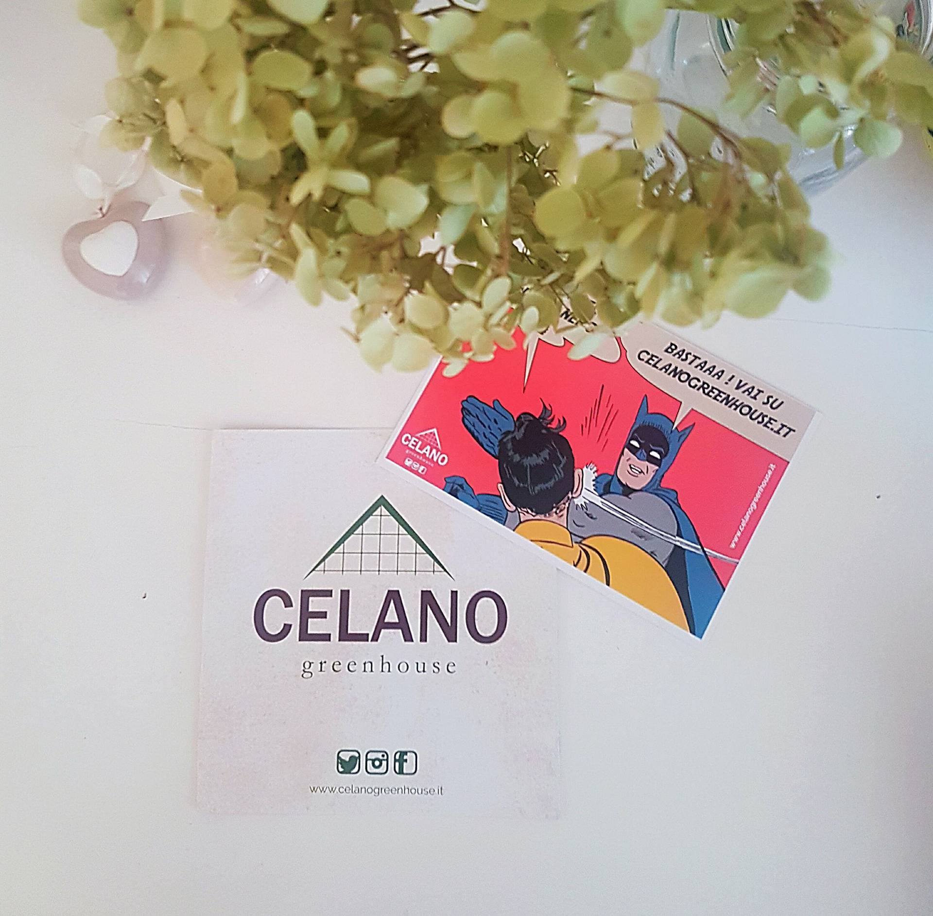 Amici e scoperte green : Celano Greenhouse