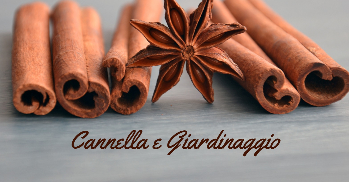 Cannella e Giardinaggio. Connessione meno strana di quanto si possa pensare.