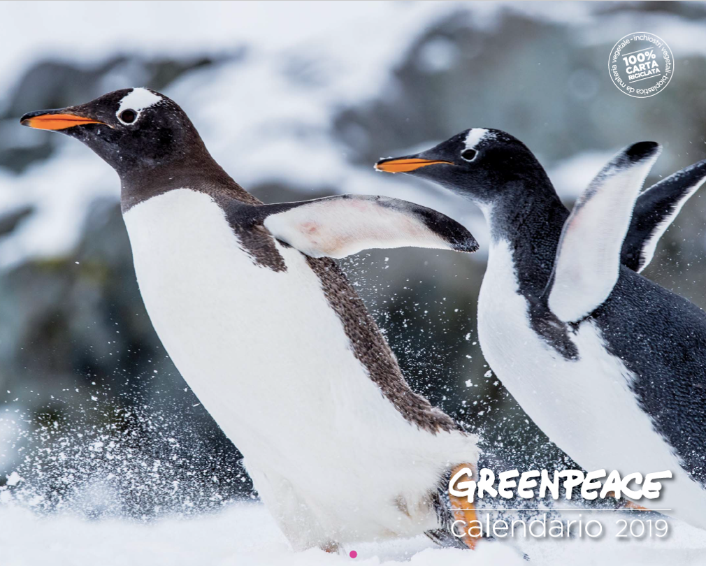 Greenpeace calendario 2019