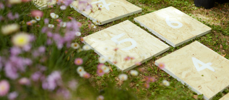 Verdi e Contenti Settembre. Piante fiori e artigianato green d’Autunno.