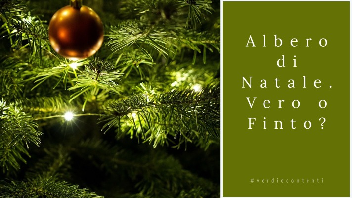 Albero di Natale, Vero o Finto? « Verdi e Contenti abete di natale