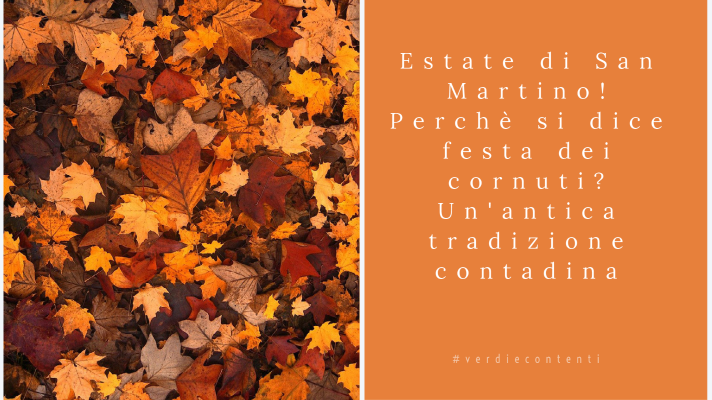 Estate di San Martino! Perchè viene detta festa dei cornuti?