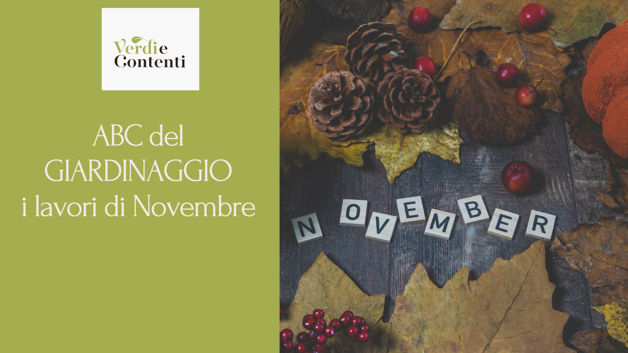 ABC Del Giardinaggio – I lavori di Novembre