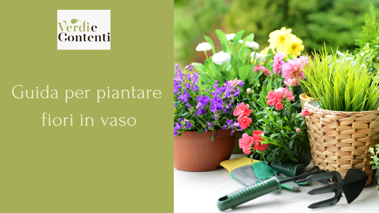 Come Far Crescere Fiori e Piante Rigogliose nel Tuo Giardino