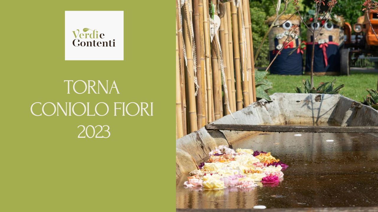 CONIOLO FIORI 2023