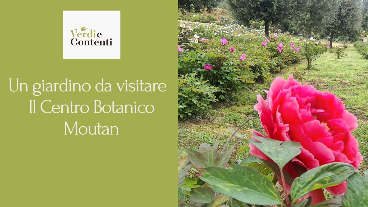 Un giardino da visitare – Il Centro Botanico Moutan