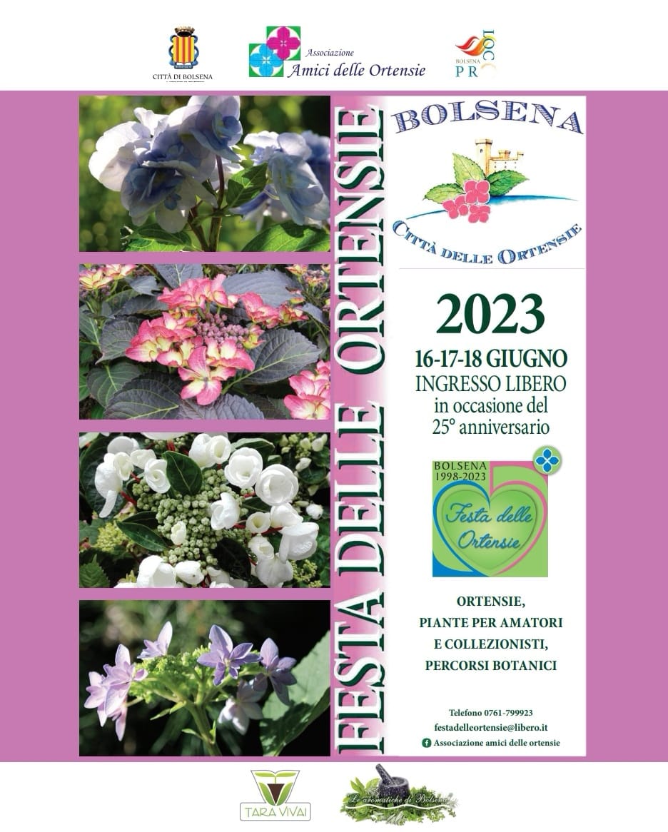 A Bolsena la venticinquesima edizione della Festa delle Ortensie