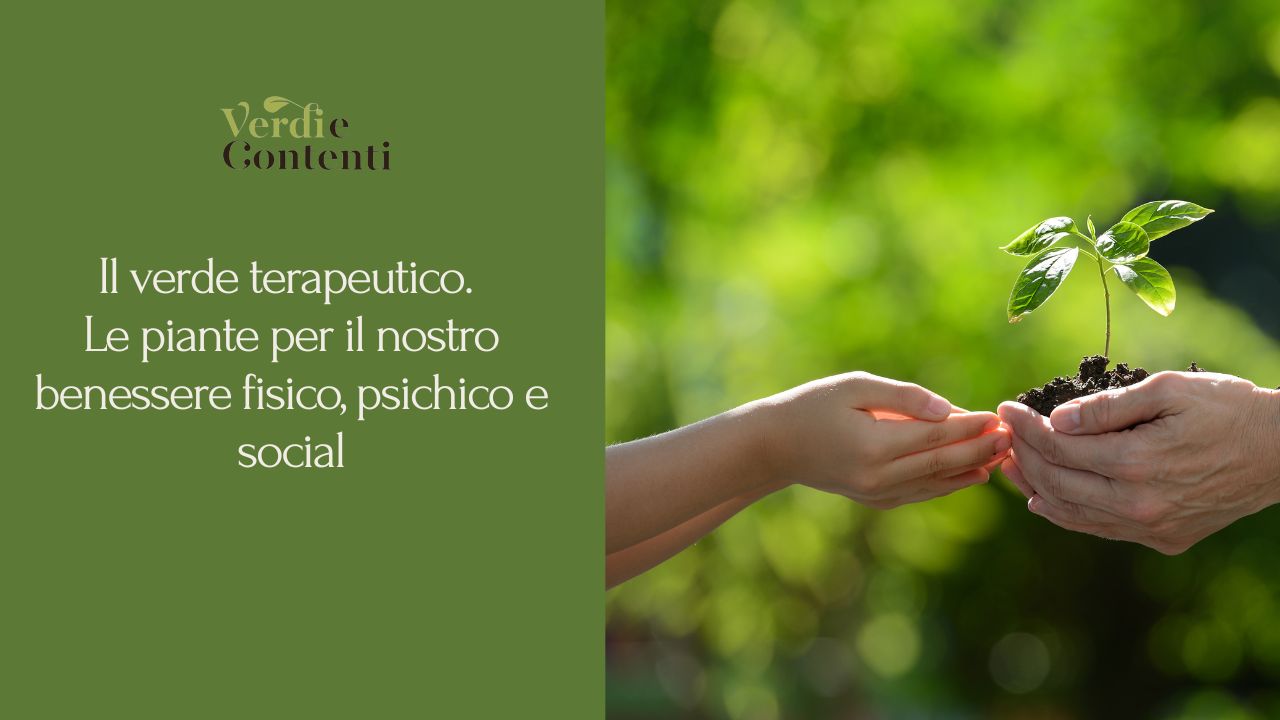 Il verde terapeutico. Le piante per il nostro benessere fisico, psichico e sociale. 