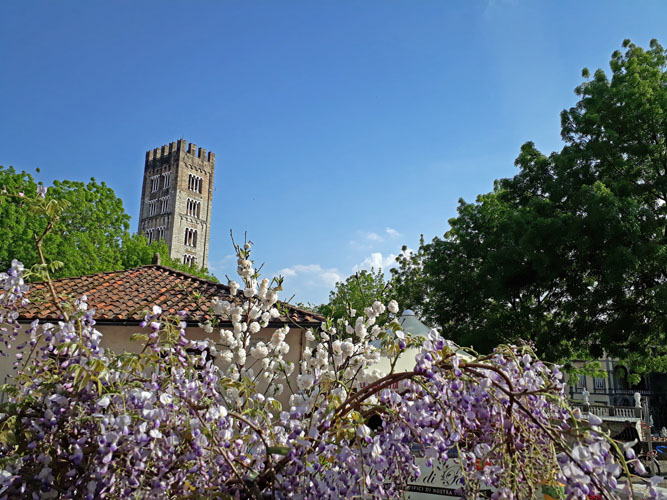 VERDEMURA 2024: La primavera sboccia a Lucca!