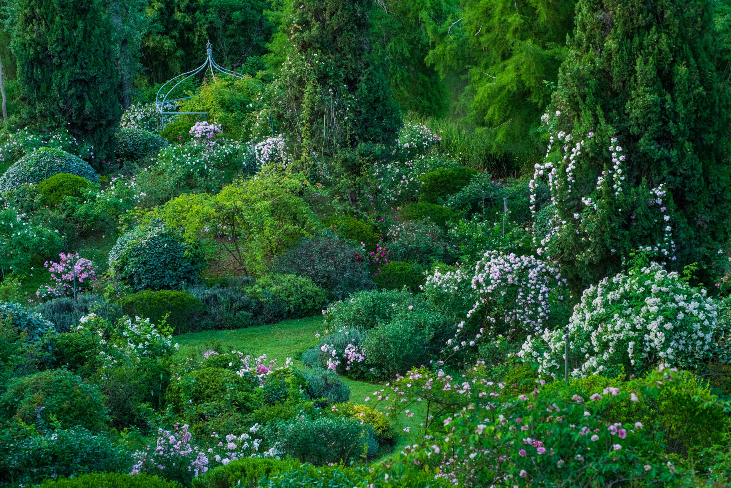 Primavera alla Landriana 2024