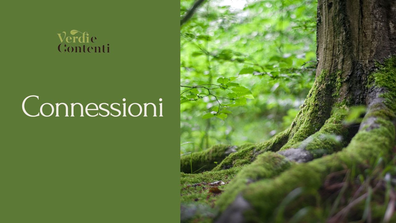 Connessioni: il filo verde che ci unisce